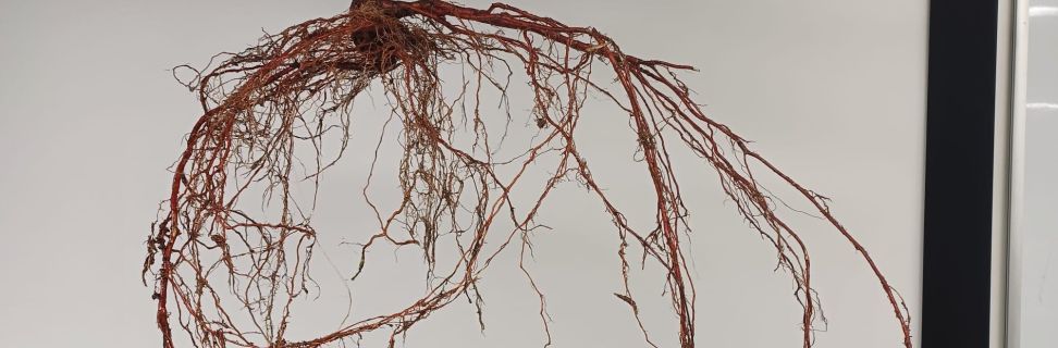 Whats App Image 2025 11 05 at 22 18 08